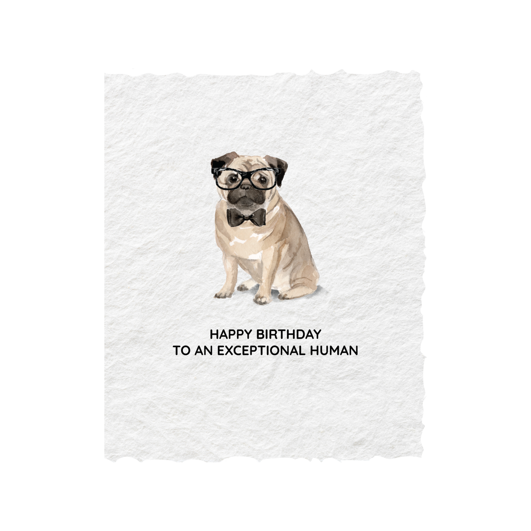 Happy Birthday to an exceptional human - Baycreek & Co