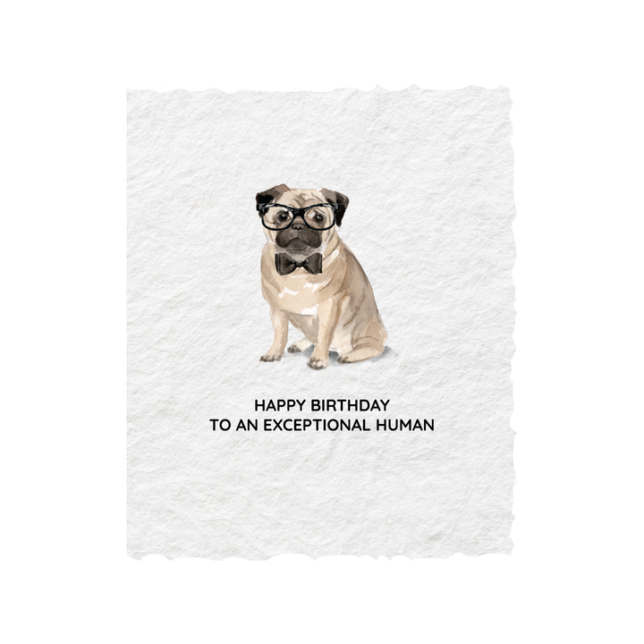 Happy Birthday to an exceptional human - Baycreek & Co