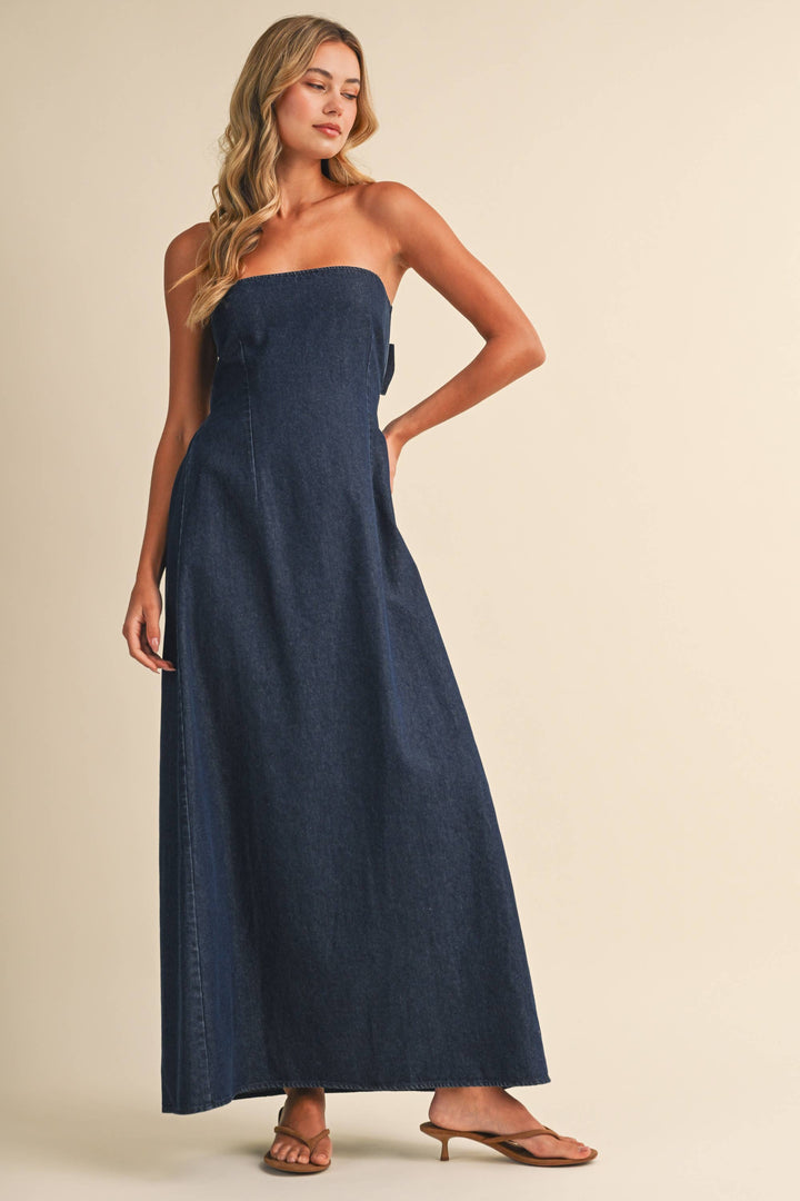 Kennedy Denim Maxi Dress
