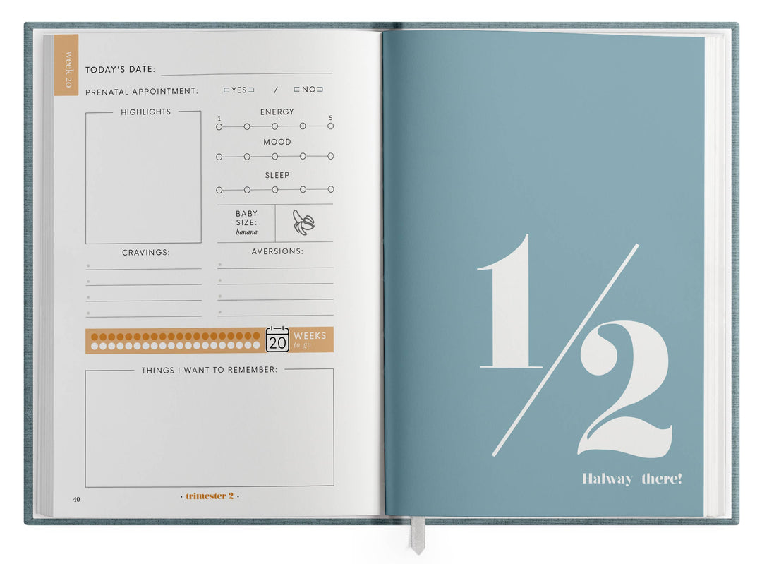The Pregnancy Journal - Baycreek & Co