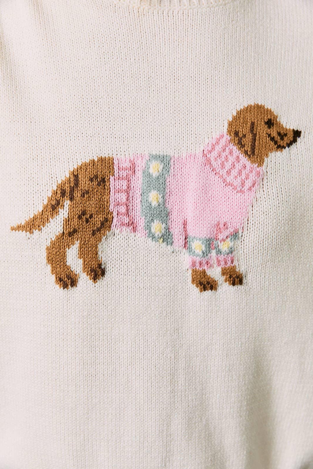 Puppy in Pink Sweater