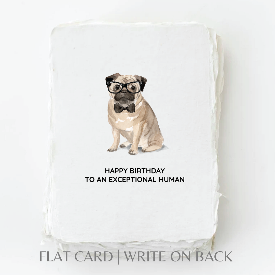 Happy Birthday to an exceptional human - Baycreek & Co