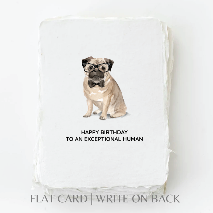 Happy Birthday to an exceptional human - Baycreek & Co