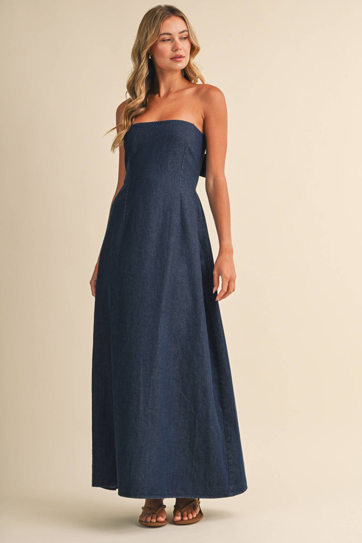 Kennedy Denim Maxi Dress