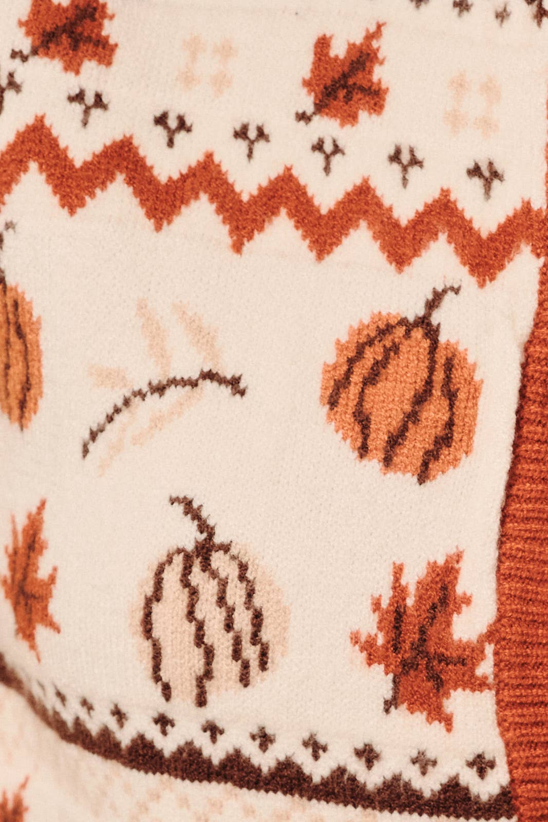 Turkey Day Sweater Vest