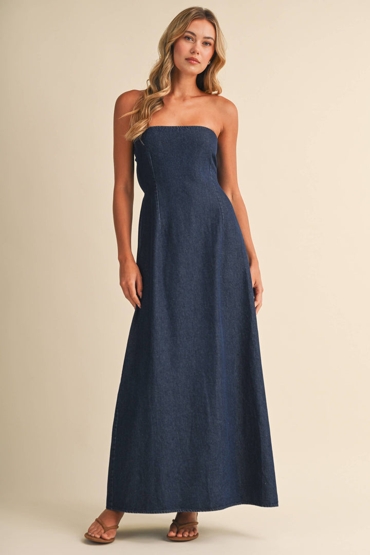 Kennedy Denim Maxi Dress
