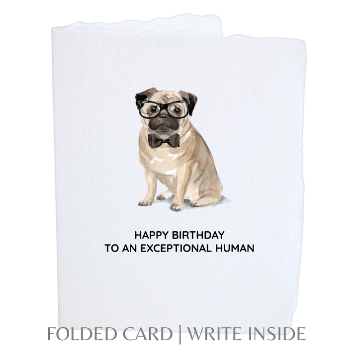 Happy Birthday to an exceptional human - Baycreek & Co