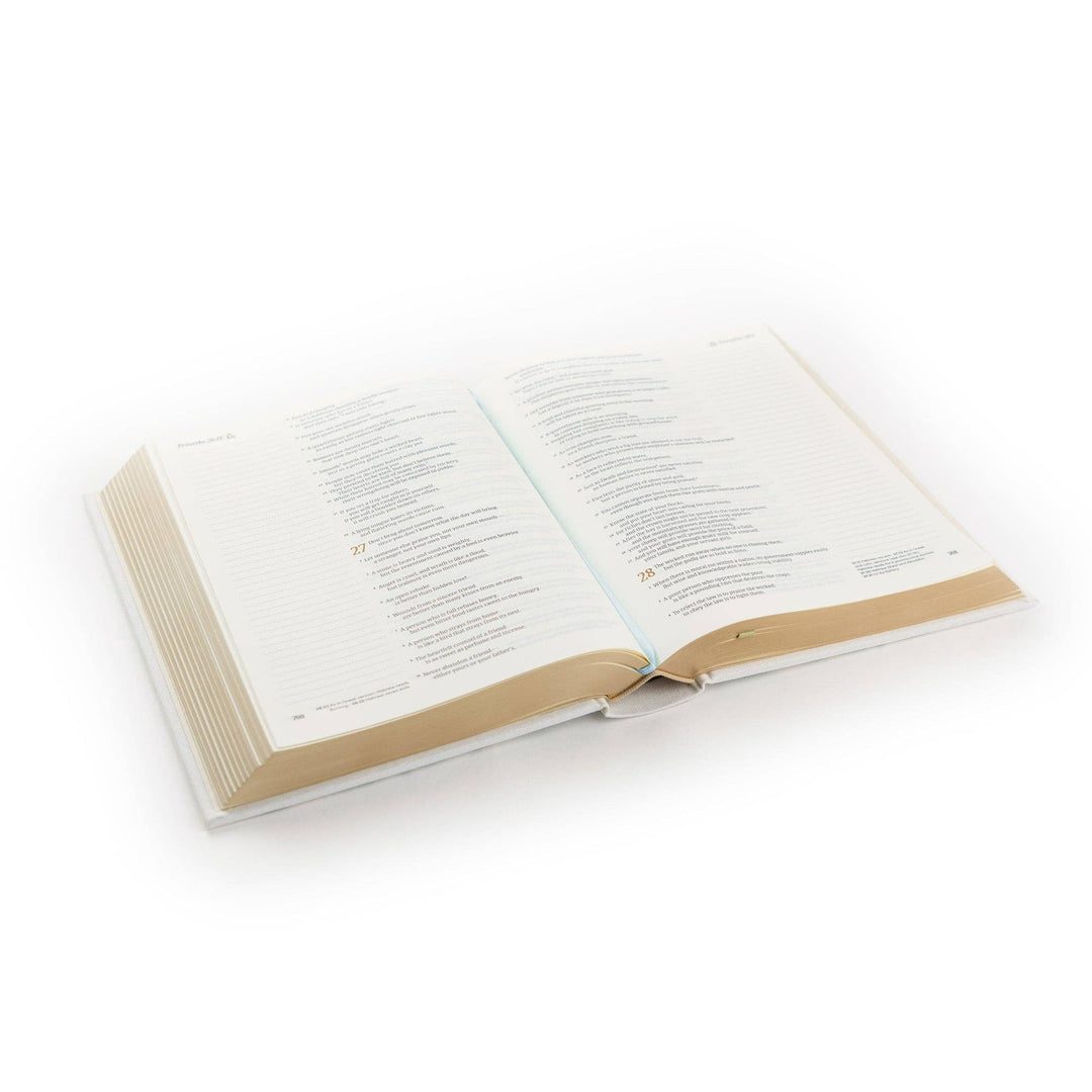 NLT Notetaking Bible