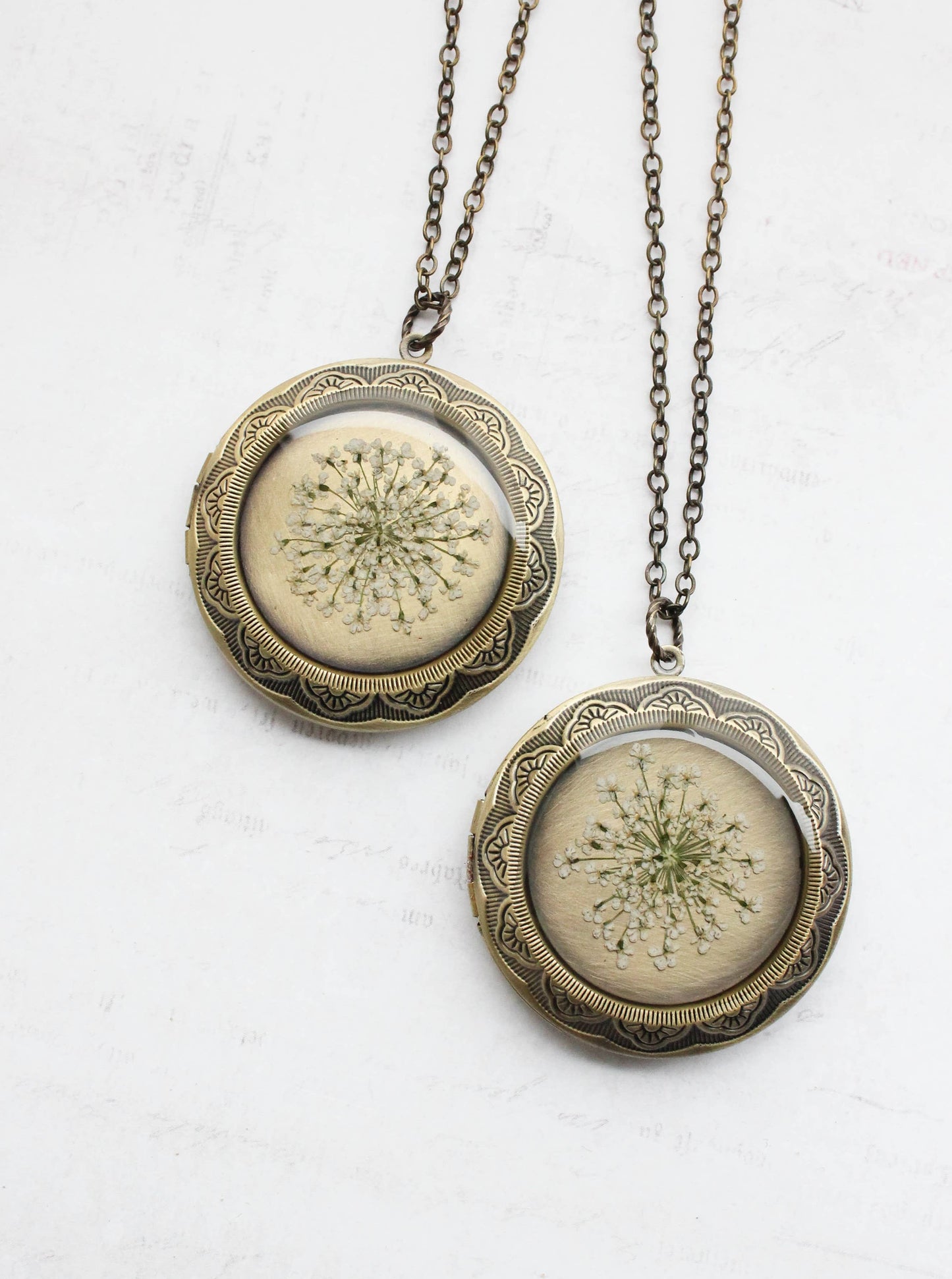 Queen Annes Lace Locket